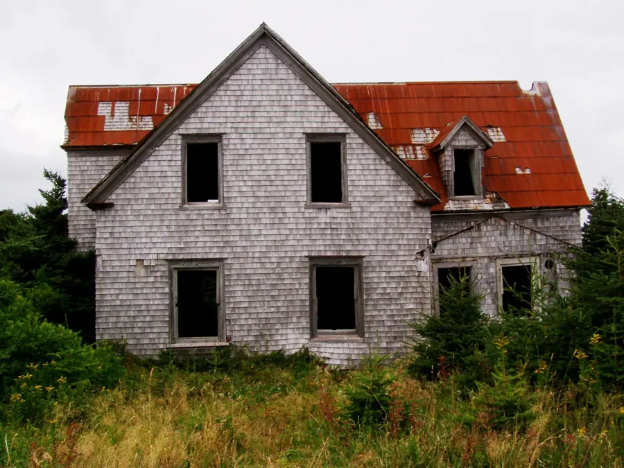 Brion Island 05