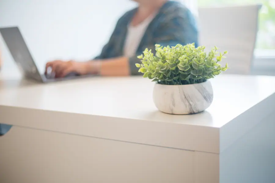 Minimal Office