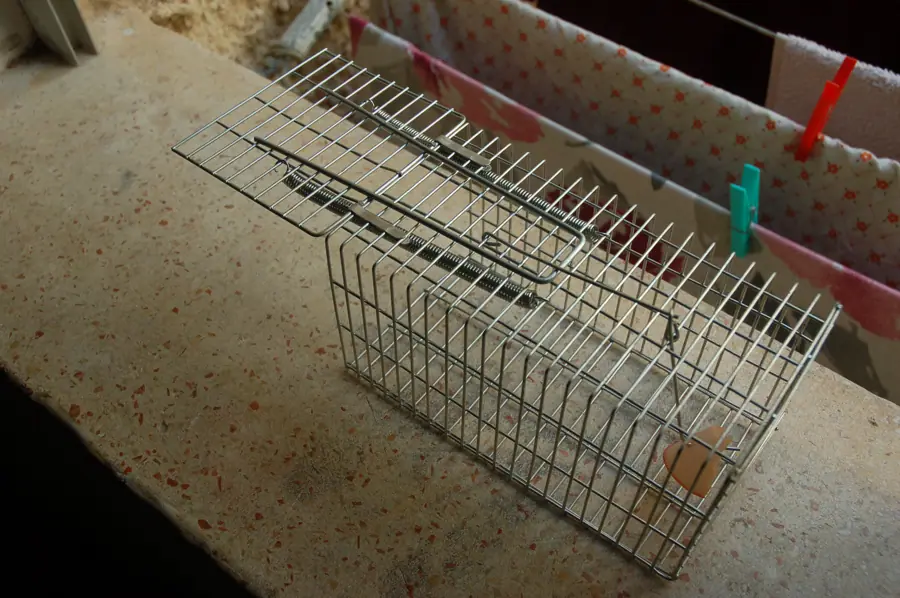 Baited Mouse Trap (2808595278)