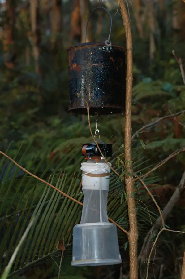 Carbon dioxide trap (4164707656)