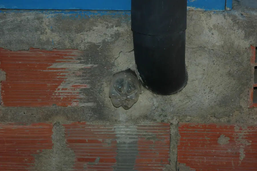 Fly trap (3701762776)
