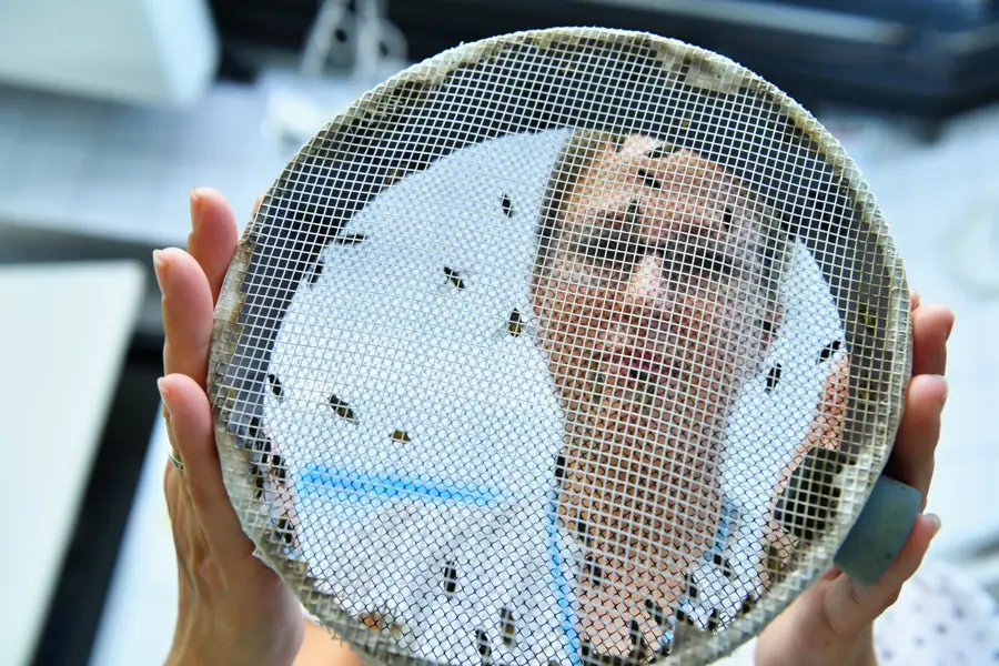 Insect Pest Control Laboratory (06010367) (50932295942)
