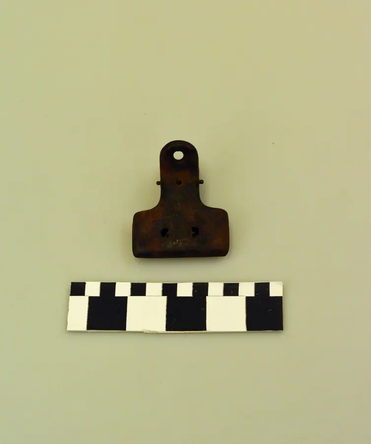 Jaw-Style Mouse Trap