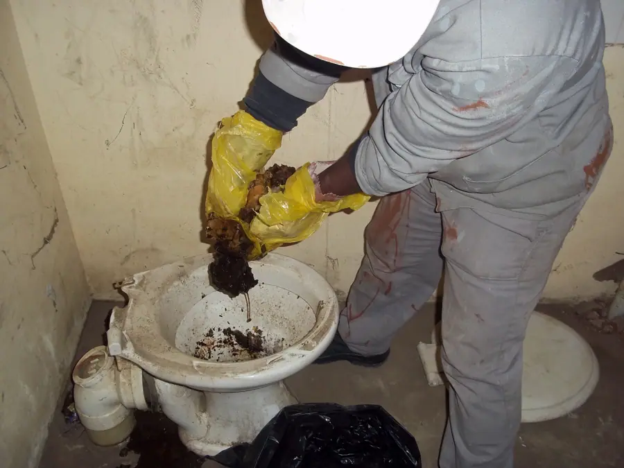 Cleaning a disgusting toilet (6648588843)