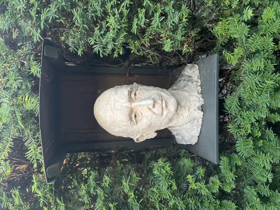 Barrie Juniper