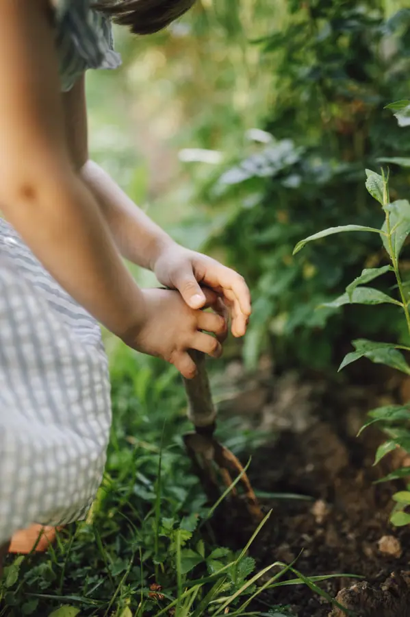 Child gardening in a lush green backyard