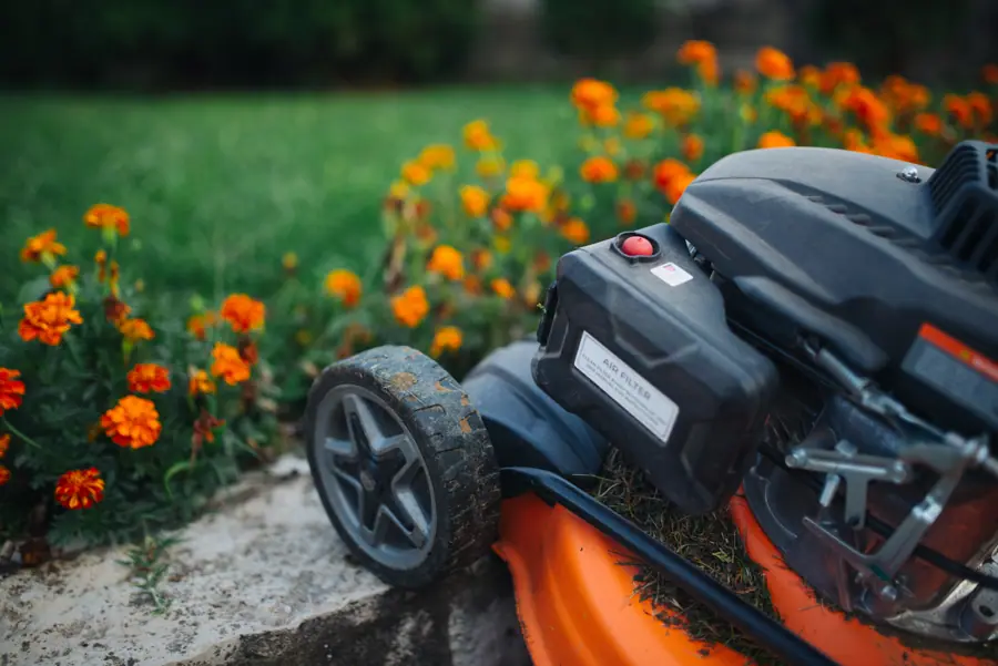Close up of the lawn mower with grass and flowers in background
