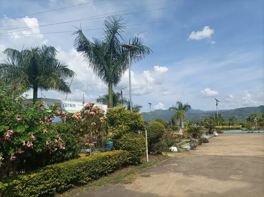 Duranta ornamental hedge shrubs and other flowering plants in Kakching Garden, Uyok Ching hills, Kakching district, Kangleipak