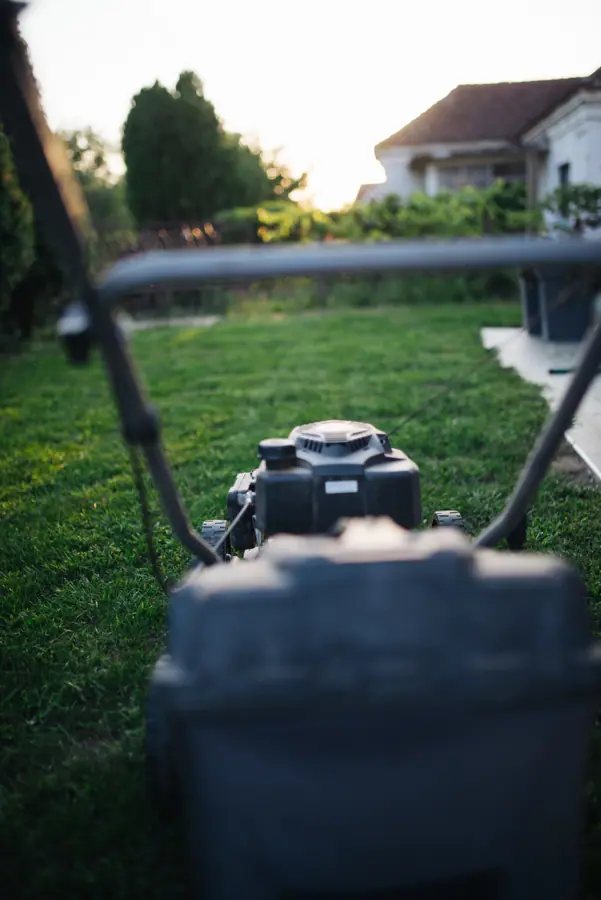 Evening lawn care in a suburban yard with a mower positioned on a freshly cut lawn