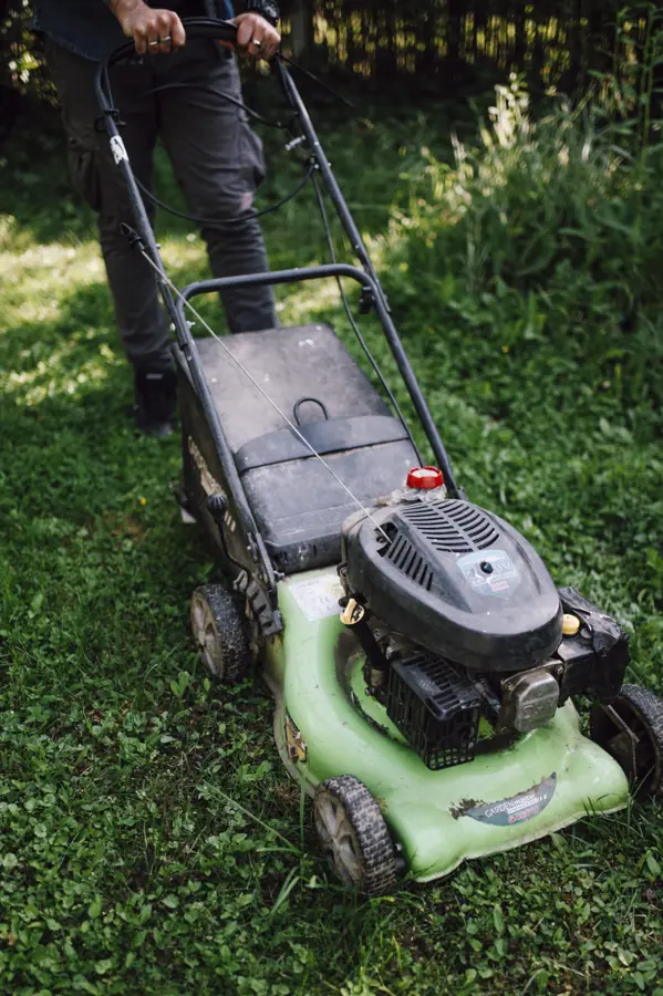 Man using lawn mower to cut grass in backyard on a sunny day in summer