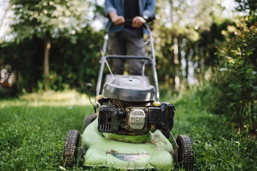 Mowing a lush green lawn on a sunny day in a residential garden